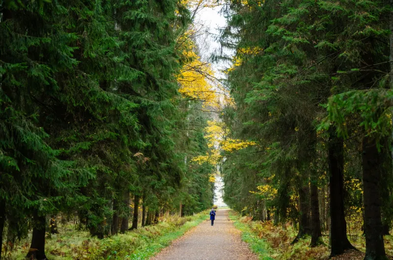 Your Body Has a Calendar — Here's How to Train With It Year-Round